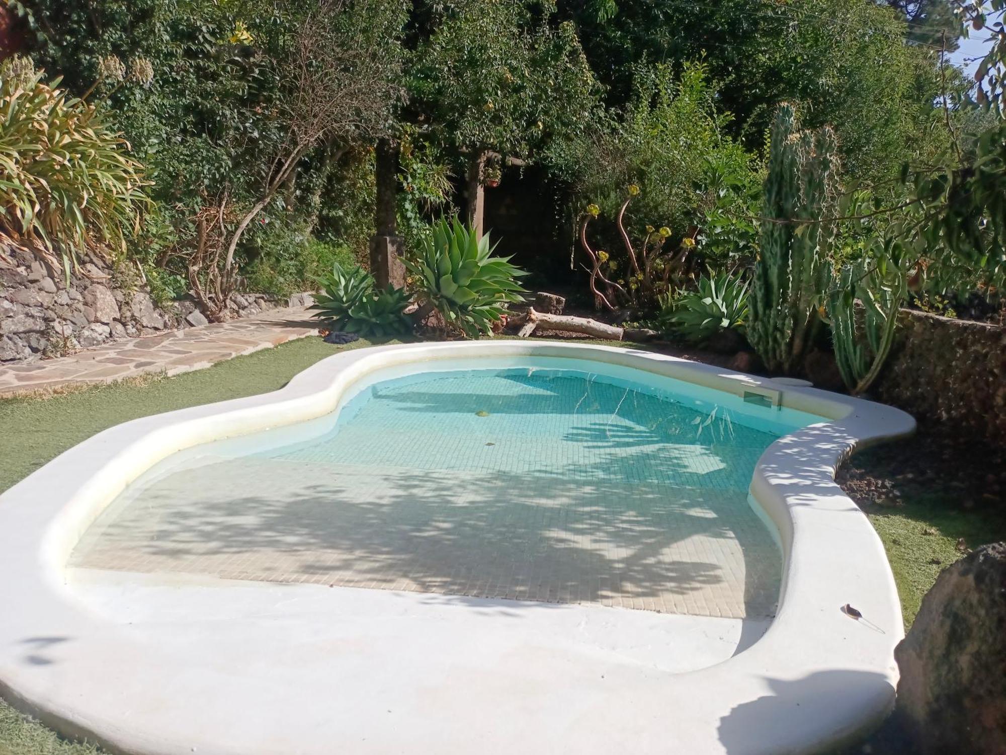 Los Matos, Canarian House In Valleseco Extérieur photo