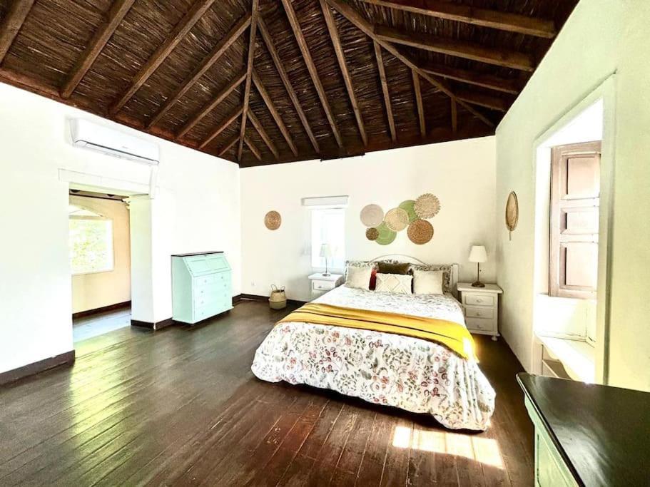 Los Matos, Canarian House In Valleseco Extérieur photo