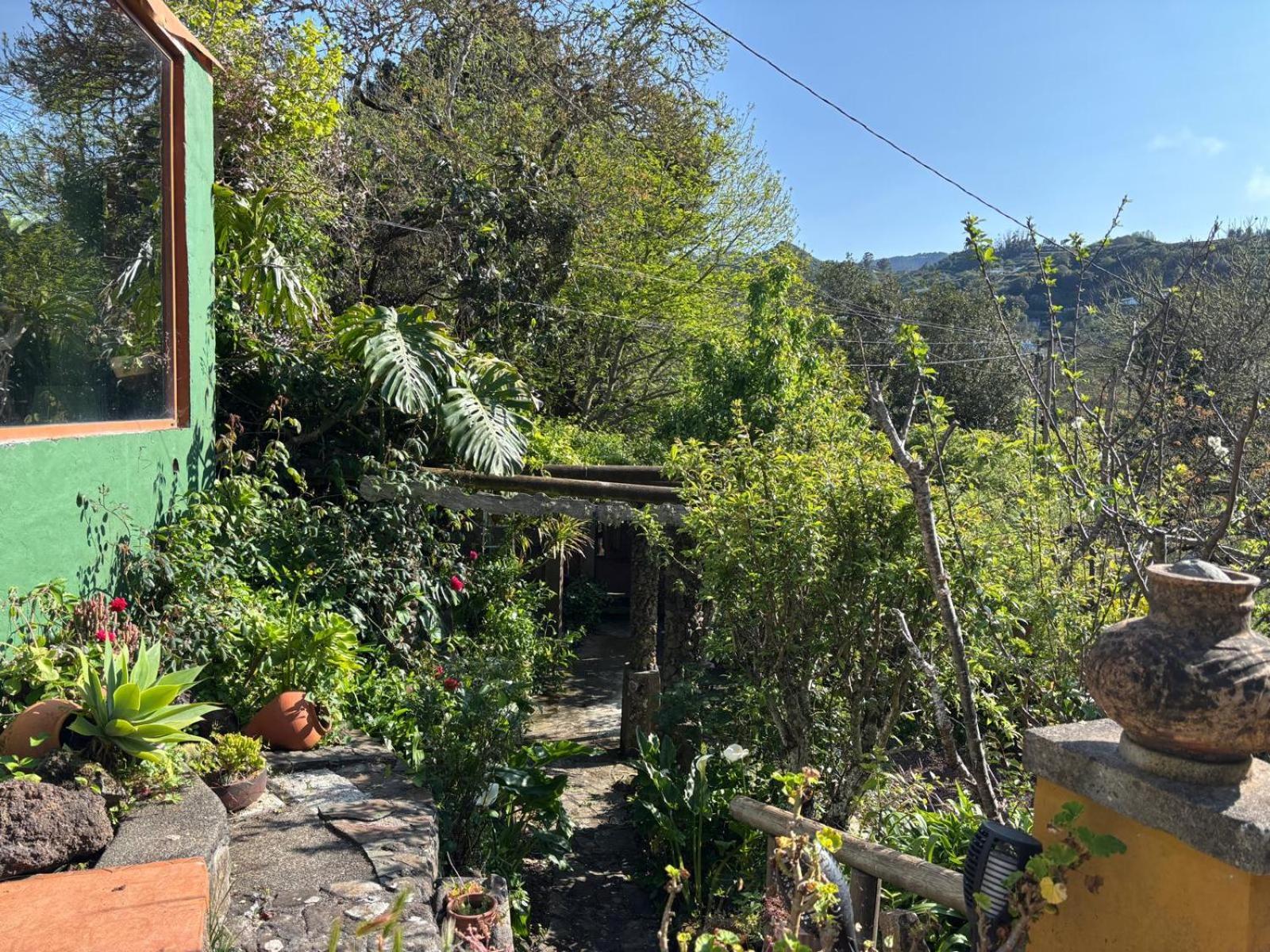 Los Matos, Canarian House In Valleseco Extérieur photo